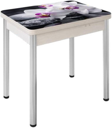 Стол раскладной Д29 с фотопечатью 800*600 (1200) h750 &mdash; Аэлита