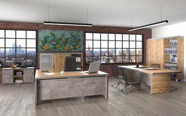 Кабинет руководителя Турин &mdash; Аэлита