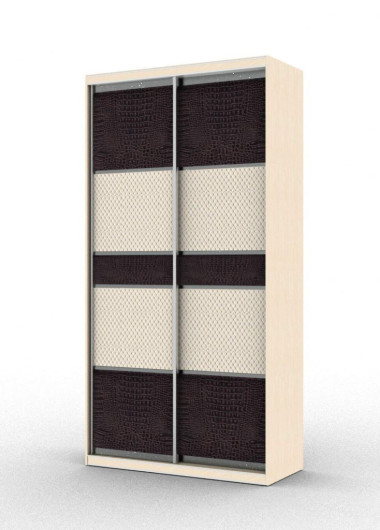 Шкаф-купе двухдверный с комбинированными фасадами (модель 2.5.4) — Аэлита